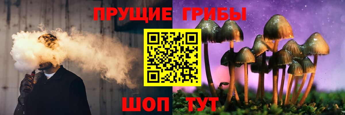 Галлюциногенные грибы MAGIC MUSHROOMS  Вход с VPN  Железногорск  Псилоцибиновые грибы мицелий 
